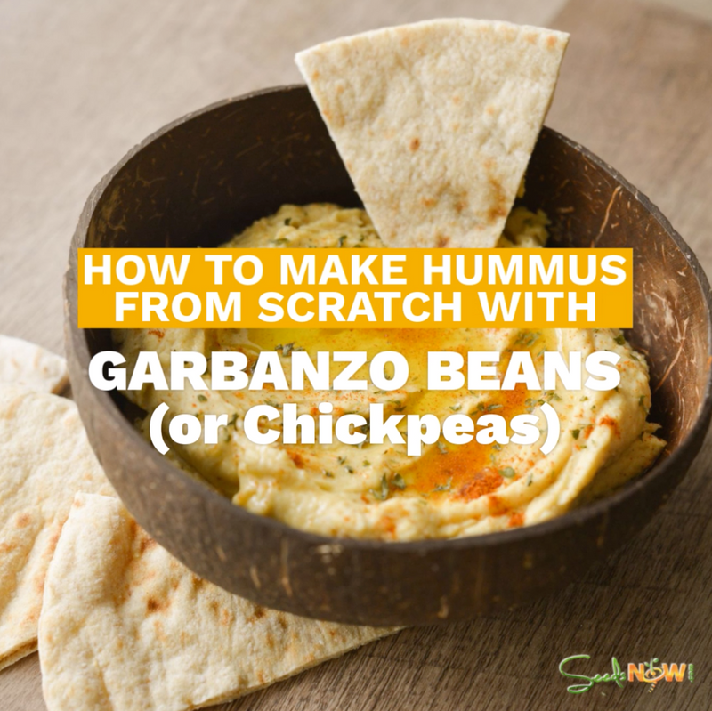This is how you make the best hummus dip! DIY Recipe
