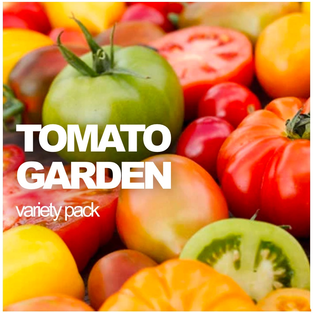 Tomato Beefsteak Indeterminate Brandywine Pink 25 Non-GMO, Heirloom Se –  David's Garden Seeds®