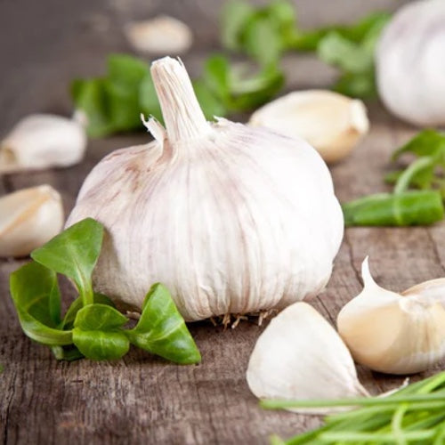 All-in-One Urban Garden Variety Pack Review All-in-One Urban Garden Variety Pack Review