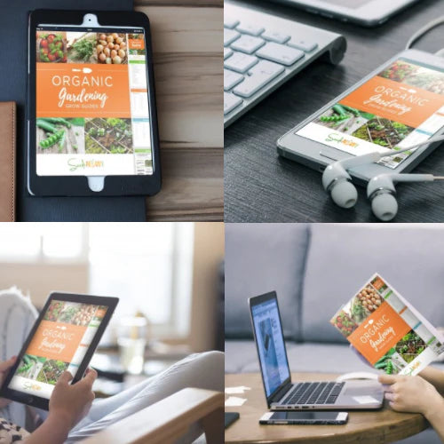 All-in-One Urban Garden Variety Pack Review All-in-One Urban Garden Variety Pack Review