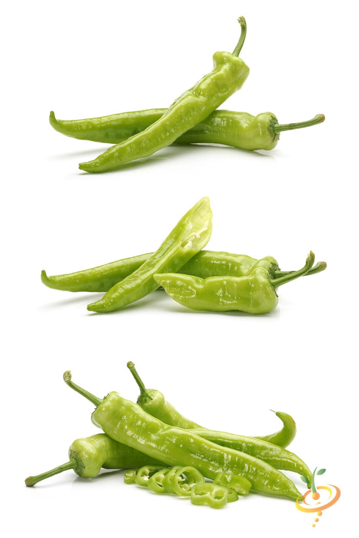 Green Big Jim hot peppers for seed starter kit pack