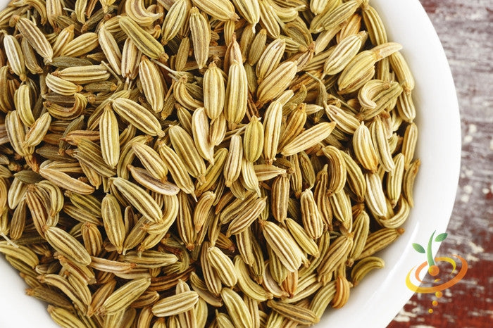 Fresh Florence fennel seeds from SeedsNow, showing green fennel bulbs and feathery fronds on a white background.