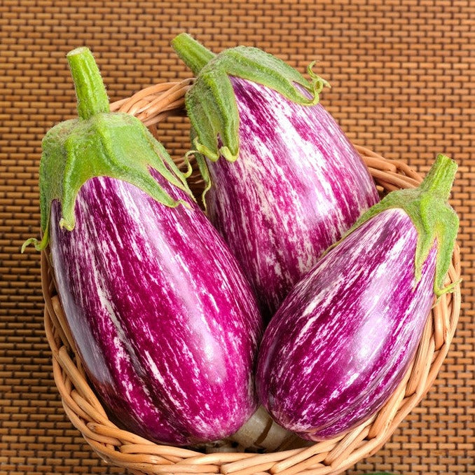 Shop Pandora Striped Eggplant seeds for sale online in the USA. Tender flesh, heavy-yielding. Open-pollinated, USA-quality Heirloom NON-GMO organic seeds & more!
