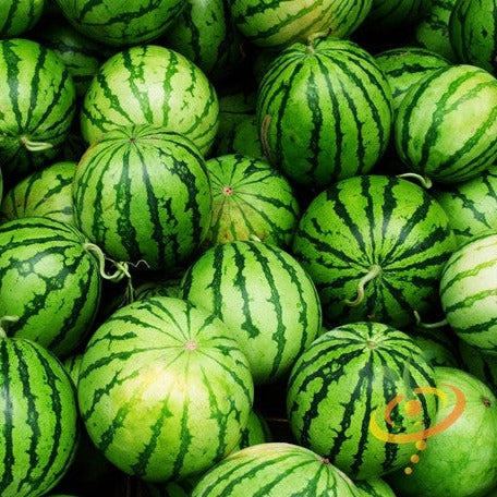 Crimson Sweet watermelon seeds from SeedsNow, close-up of vibrant green and black watermelon seed packet for planting.