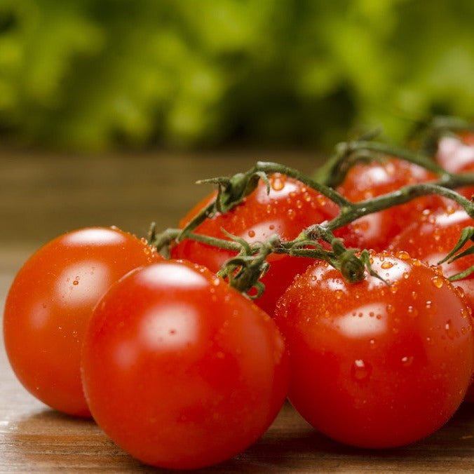 Shop Large Red Cherry tomato seeds to order online from the USA. Indeterminate, 1-inch fruit, high-yield. Open-pollinated, USA-quality, NON-GMO organic seeds & more!