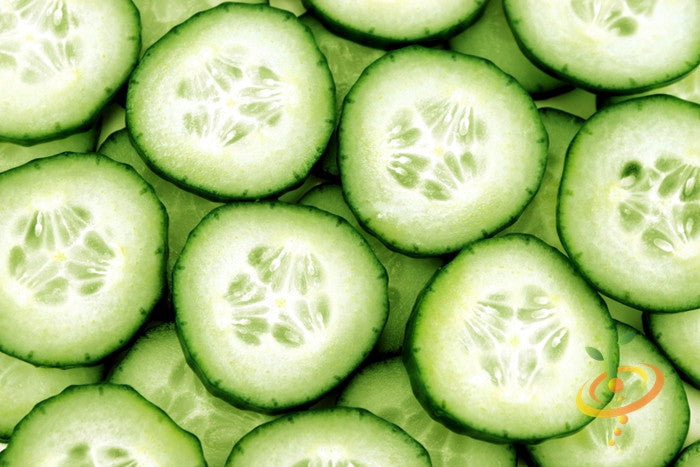 Close-up of fresh sliced Marketer cucumber with dark green skin and pale green interior