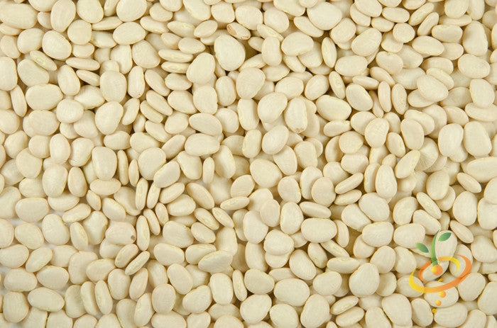 Bean (Lima)- Thorogreen.