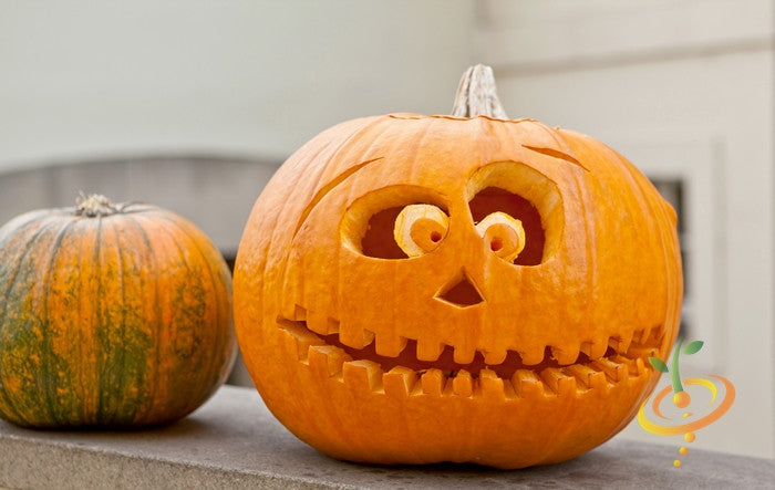 Carved Jack O' Lantern pumpkin with round smooth skin and thick stem next to smaller pumpkin on wall
