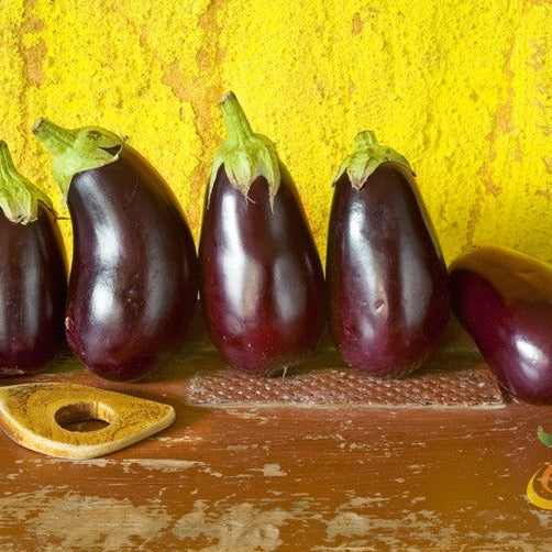 Black Beauty eggplant (aubergine) seeds from SeedsNow, featuring a close-up of mature eggplant with deep purple skin and glossy surface.