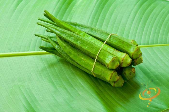 Fresh green Okra - Clemson Spineless pods bundled on large leaf background