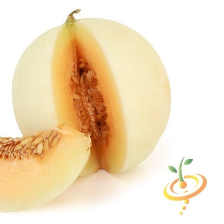 Order fresh Honeydew Orange Flesh Melon seeds for sale online from USA. Enjoy sweet, delicious melon with orange flesh. Start indoors and grow in about 85-100 days.