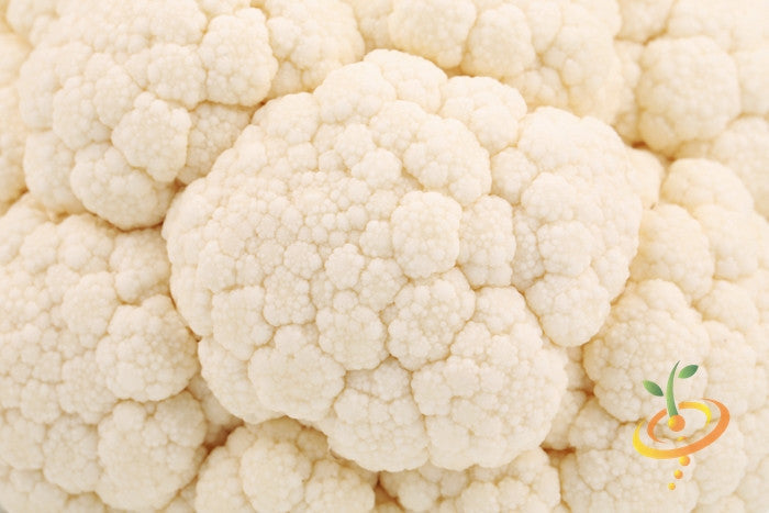 Close-up of fresh white snowball cauliflower head for cauliflower seeds packaging