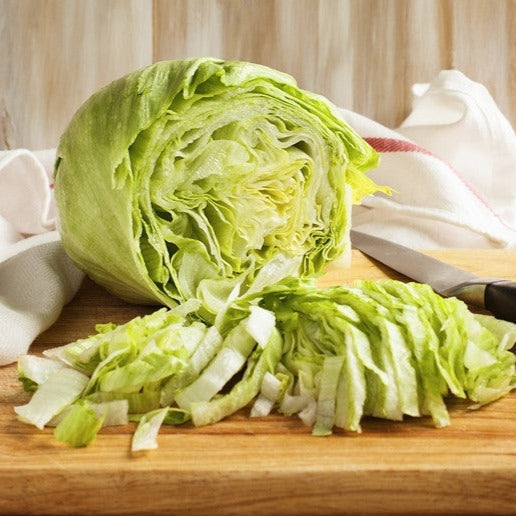 Green Iceberg Lettuce seeds for sale to buy online from the USA. Butterhead-type lettuce! Open-pollinated, USA-quality, Heirloom, NON-GMO organic seeds & more!