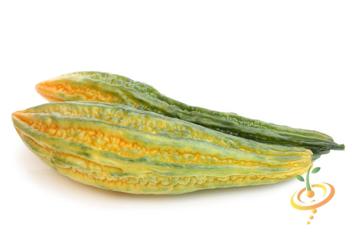 Melon and banana seeds from SeedsNow, close-up of vibrant seeds in a clear container for planting or gardening.