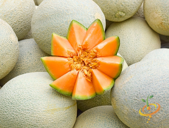 Fresh cantaloupe melon from SeedsNow Planters Jumbo seeds, showing ripe orange flesh and textured green rind.