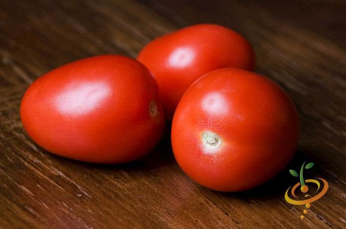 Roma tomato seeds to buy in the USA. Determinate, plum, sweet sauce/paste tomato for containers! Open-pollinated USA-quality, NON-GMO organic seeds & more!