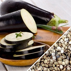Blackbeauty eggplant seeds from SeedsNow, showing healthy young aubergine plants with glossy dark purple fruit.