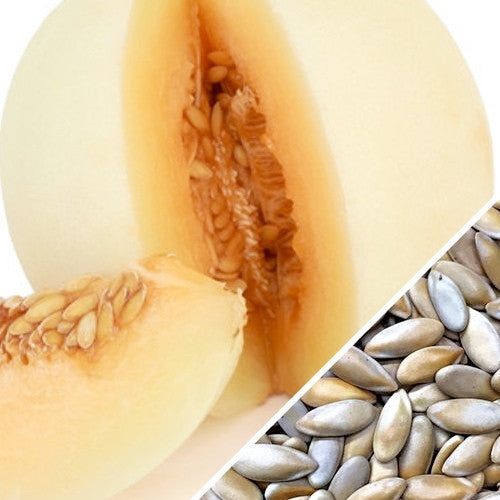 Melon Honeydew with orange flesh and close-up of melon seeds for planting