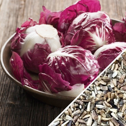 Classic red radicchio heads with white veins in a bowl alongside radicchio seeds