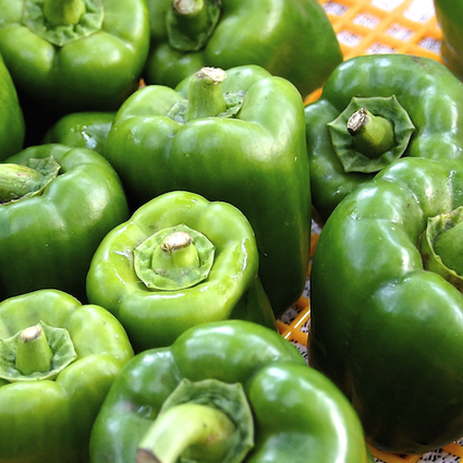 Buy Emerald Giant Sweet Green Bell Pepper Seeds Online from USA