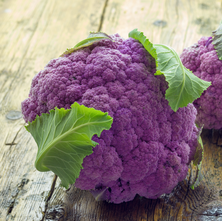 Shop Purple Violetta Cauliflower seeds online in the USA. Large purple heads, dark green leaves. Open-pollinated, USA-quality, Heirloom NON-GMO organic seeds & more!