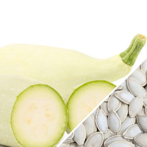 Buy fresh White Marrow Summer Squash seeds online from the USA now!
