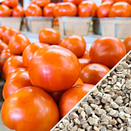 Tomato Creole Seeds | Juicy, Heat Tolerant Indeterminate Tomato