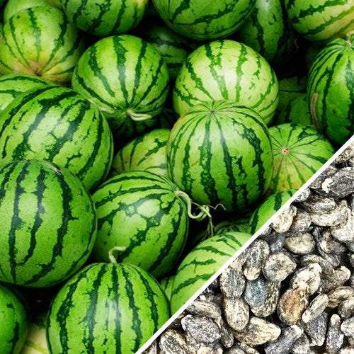 Watermelon Crimson Sweet seeds from SeedsNow, showing fresh seed packets with vibrant red and green watermelon seed illustrations.