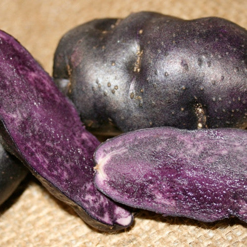 Buy Potato, Fingerling (LateSeason) Peruvian Purple Magic Source