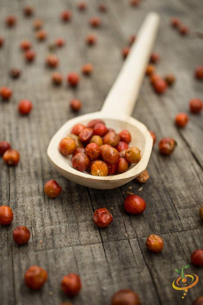 Close-up of worldโs hottest pepper seeds in a wooden spoon on rustic wooden surface with scattered seeds around
