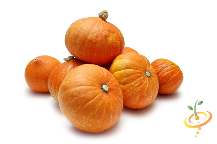 Gold Nugget winter squash seeds from SeedsNow, showing vibrant yellow-orange squash with smooth skin and prominent ridges.