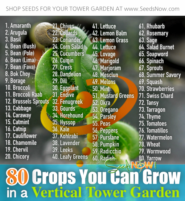 80 Plants You Can Grow with Vertical Towers and Hydroponic Garden Syst   SeedsNow.com