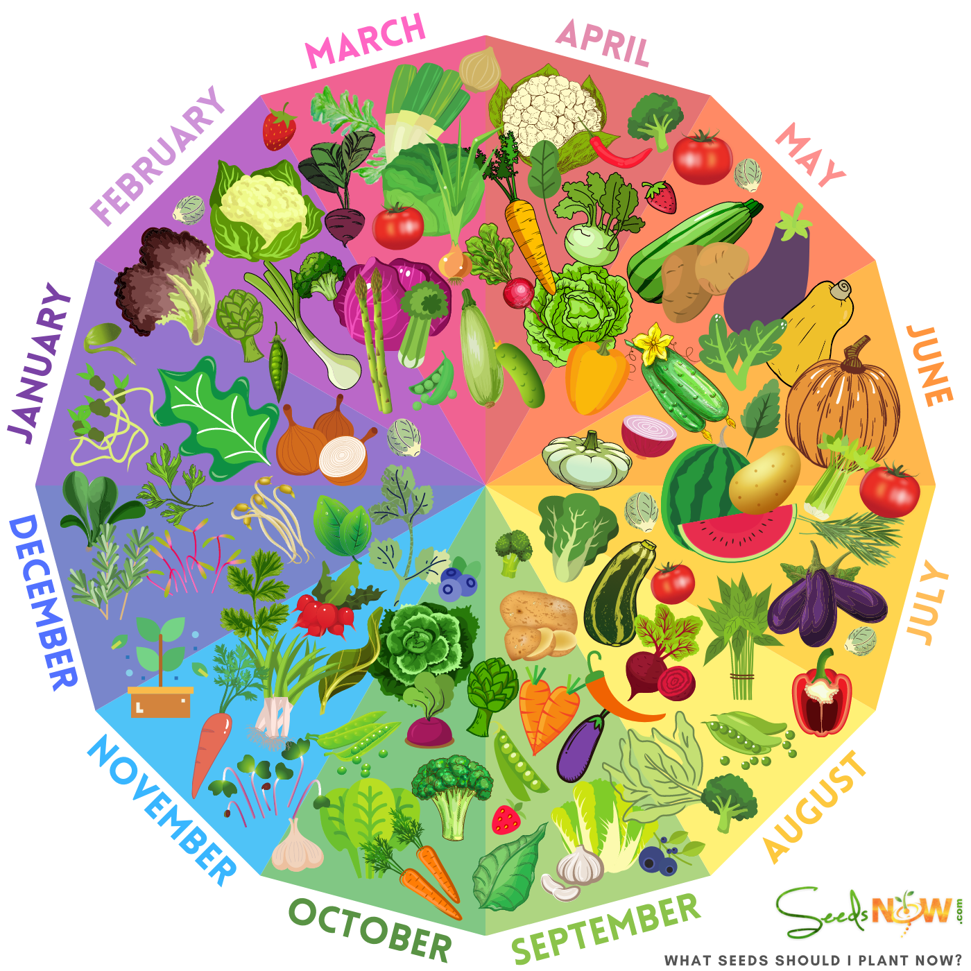 PLANTING CALENDAR - Know when it's the best time to plant!  SeedsNow.com