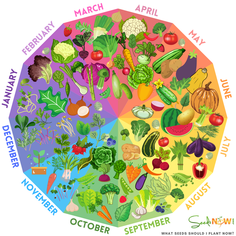 PLANTING CALENDAR - Know when it's the best time to plant! 🌱 SeedsNOW.com