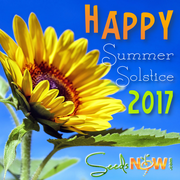 Happy Summer Solstice! [June 2017]