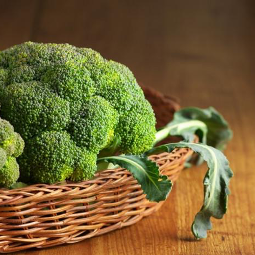 Most Popular Seeds to Plant Now for Fall/Winter Gardening 🌱