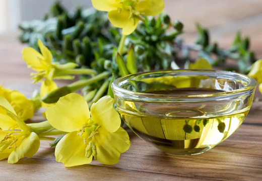 Evening Primrose Flower Seeds