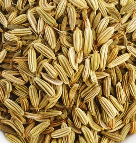 organic fennel seeds for planting Fennel