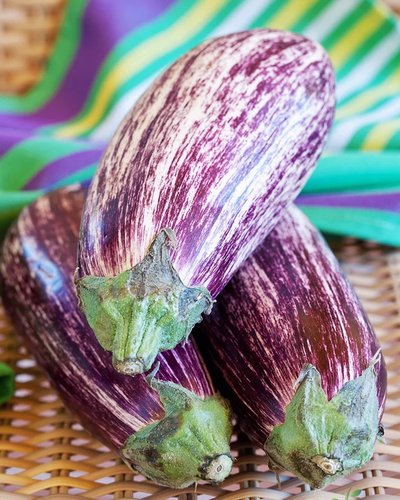 Buy Eggplant Aubergine Seeds | High-Quality Organic NON-GMO Heirloom