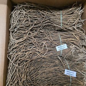 Asparagus (Crowns/Roots) - Millennium