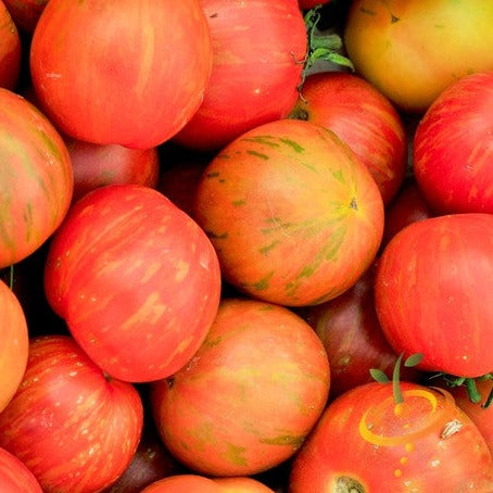 Tomato - Tigerella (Indeterminate) - SeedsNow.com