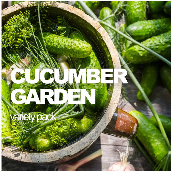 All-in-One Cucumber Garden Variety Pack - SeedsNow.com