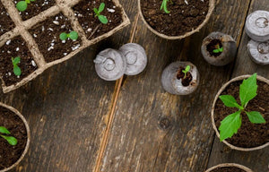 *FREE GIFT* ALL-IN-1 SEED STARTER KIT!