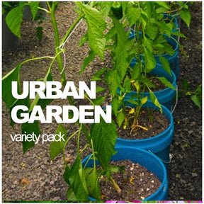 Assorted vegetable and herb seeds in an All-in-One Urban Garden Variety Pack by SeedsNow-SeedBanks for container and small space gardening.
