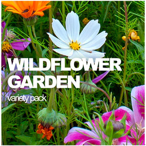 perennial wildflower seed mix All-in-One Wildflower & Pollinator Scatter Garden Variety Pack / Seeds – SeedsNow.com