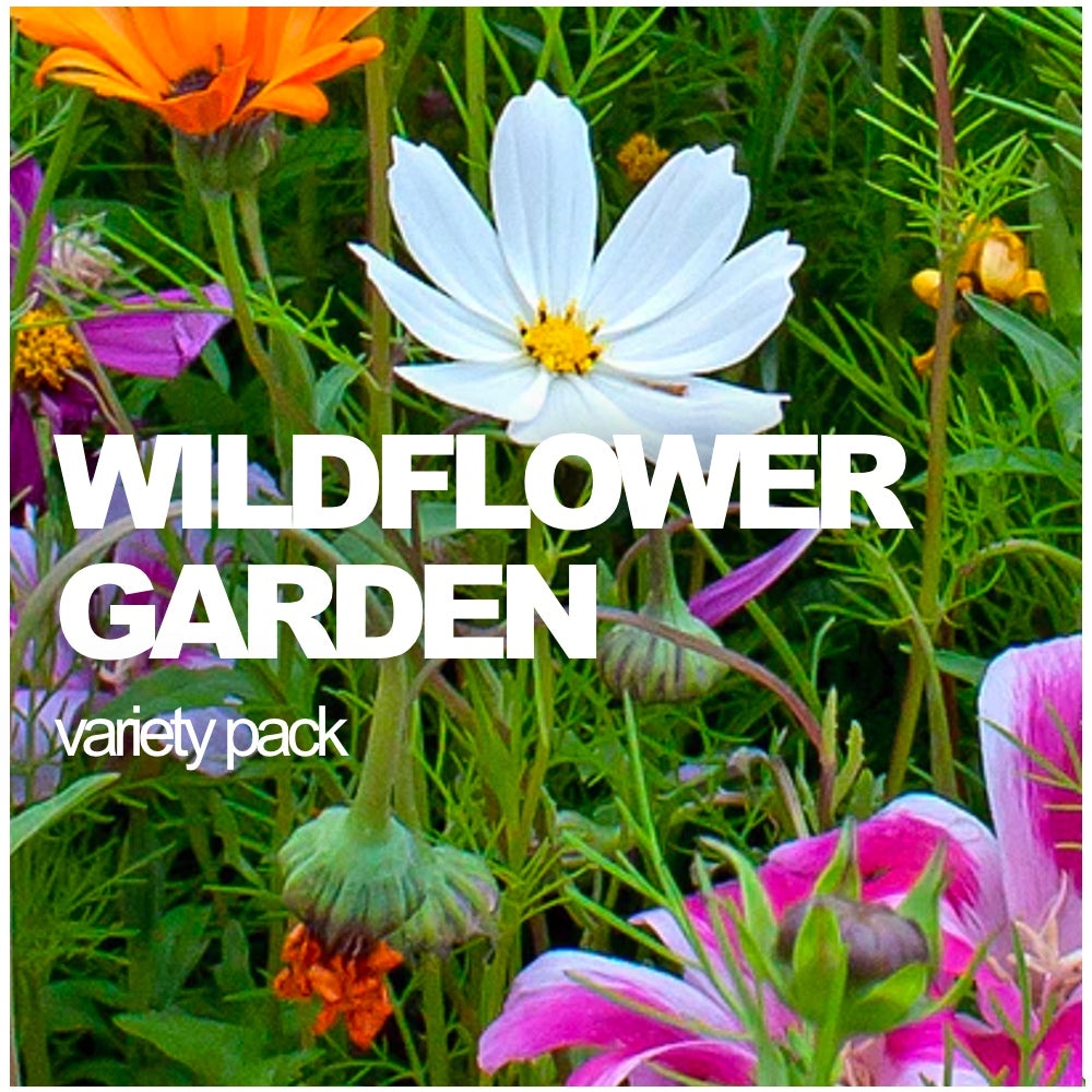 All-in-One Wildflowers & Pollinators Scatter Garden Variety Pack