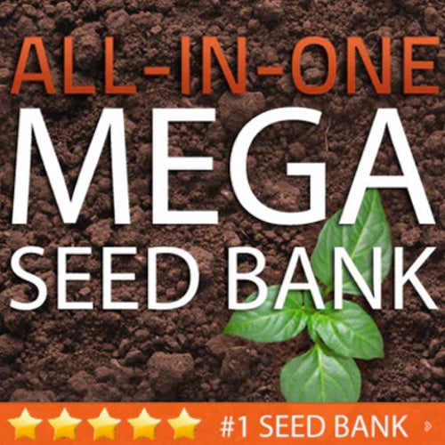 All-in-one Mega Seed Bank by SeedsNow featuring a large seed storage vault for long-term seed preservation and storage.