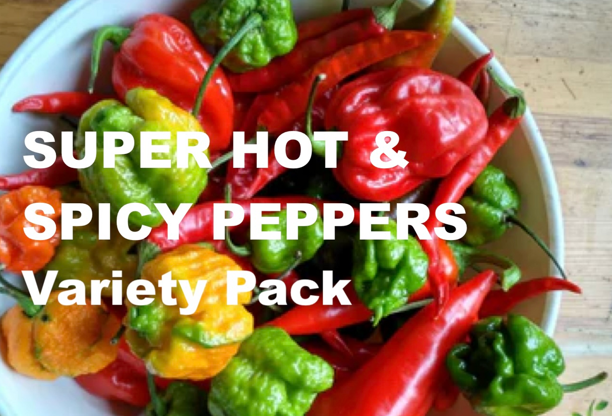 *NEW!* SUPER HOT PEPPERS! 🥵🔥🌶️ Garden Variety Pack