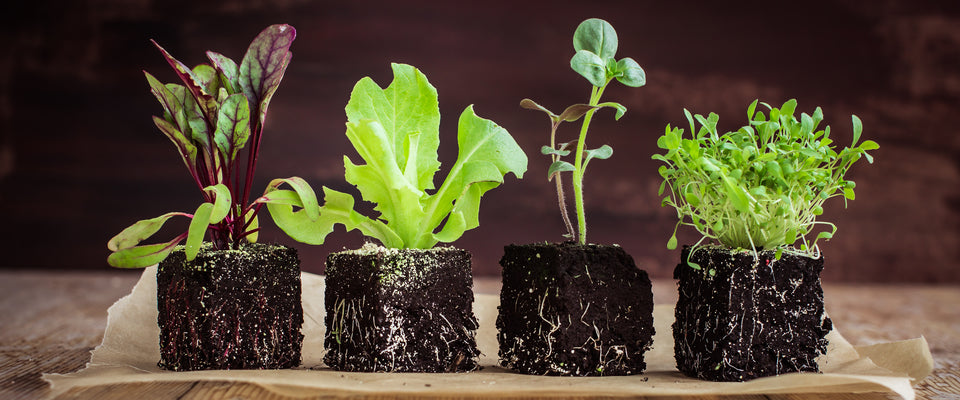 Seed & Garden Club - PRO PLAN! (Plus free shipping)