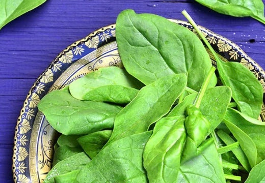 All-in-One Tomato Garden Variety Pack – SeedsNow.com